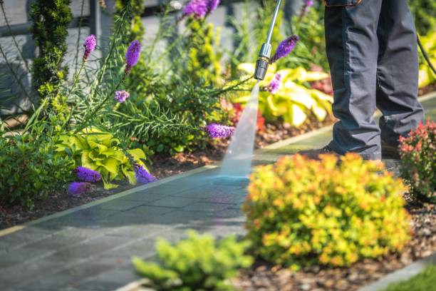 Best Pool Deck Cleaning in University Gardens, NY