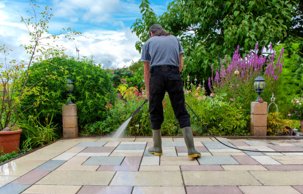 Professional Pressure Washing Services in University Gardens, NY